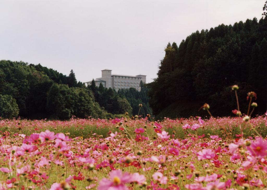 Okura Akademia Park Hotel Kisarazu Luaran gambar